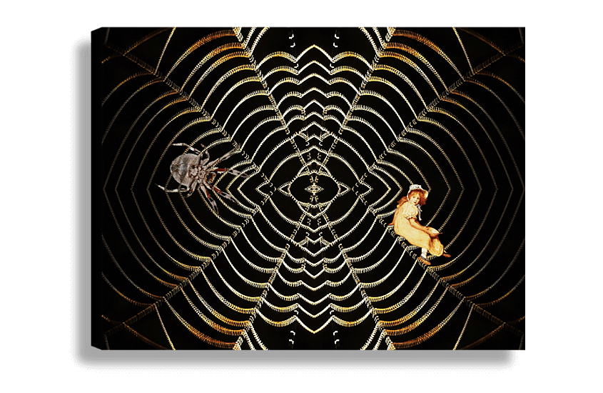 Along Came a Spider